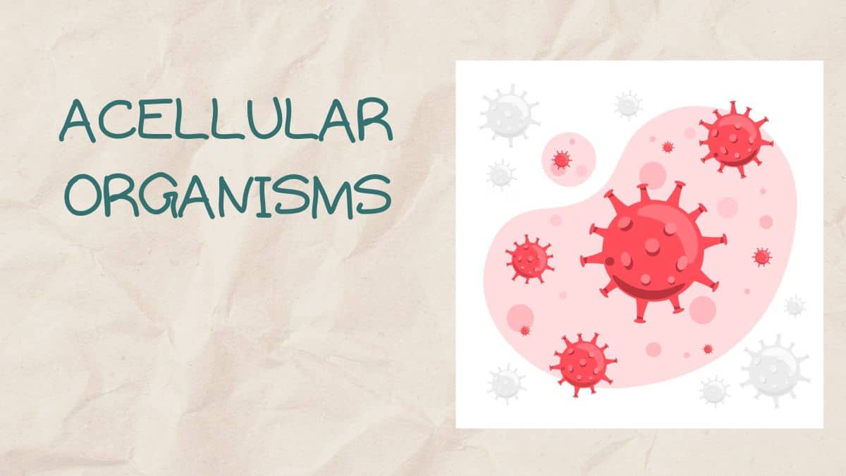 Acellular Organisms - Meaning, Types and Function